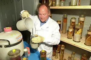 Curation: Scientist working in Darwin Centre
