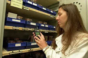 Freezer: Scientist working with specimens