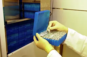 Freezer: Scientist working with tissue collection