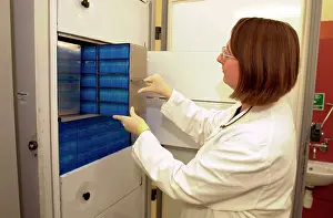 Freezer: Scientist working with tissue collections