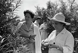 Altay: Scientists I. Kalinina, F. Streltsov, E. Panteleeva