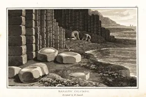 Zoography: Scientists investigating basalt columns, Staffa, Scotland