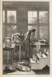 Bloated: Scientists in a lab examining specimens in