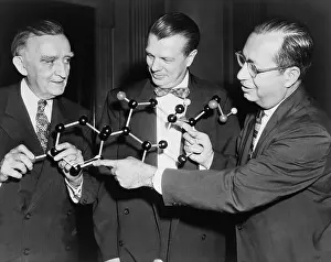 Immunity: Scientists with a model of the molecular ?