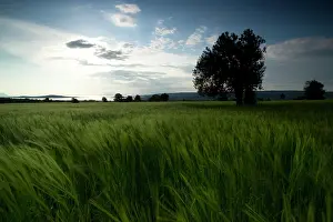 Suvla: Scimitar Hill