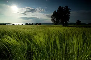 Battlefields: Scimitar Hill