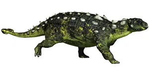 Scolosaurus: Scolosaurus dinosaur, side view on white background