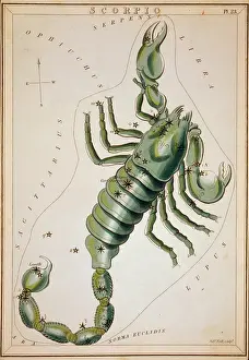 Scorpio: Scorpio