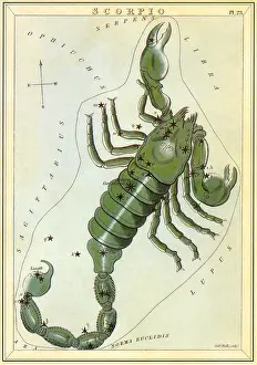 Scorpion: Scorpio, the Scorpion