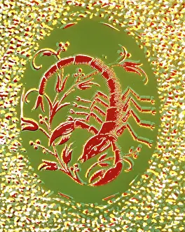 Scorpio: Scorpio the Scorpion Eighth Sign of Zodiac