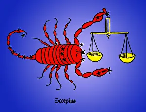 Scorpion: Scorpius Constellation, Zodiac, 1482