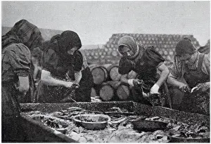 Troughs: Scotch Herring Women Workers 1902