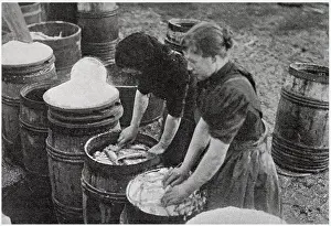 Brine: Scotch Herring Women Workers 1902