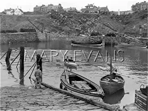 Fifeshire: SCOTLAND/CRAIL