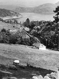 Argyllshire: SCOTLAND/LOCH FYNE