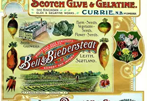 Leith: Scotland's Industrial Souvenir