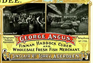 Aberdeen: Scotland's Industrial Souvenir