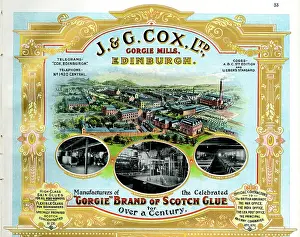 Glue: Scotland's Industrial Souvenir