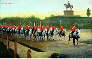 Greys: Scots Greys