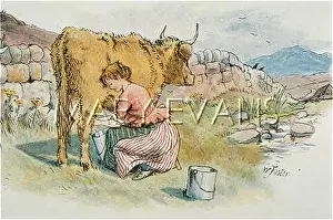 Milks: SCOTS LASS MILKING