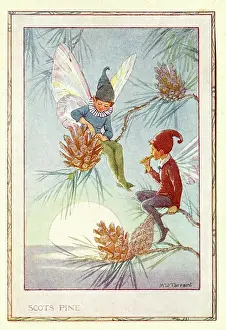 Printedcopy: Scots Pine Fairies