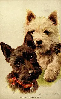 Valter: Two Scots terriers