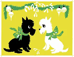 Scottie: Two Scottie dogs under mistletoe