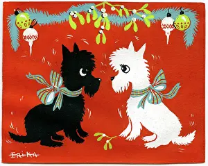 Scottie: Two Scotties under mistletoe
