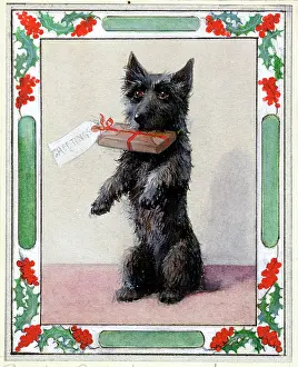 Forestier: Scottie's Present