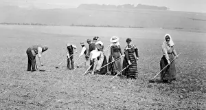 Tilling: Scottish farm workers