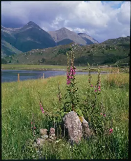 Glens: SCOTTISH GLENS