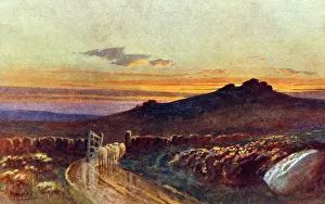 Grayham Chayney: Scottish Highland Scene