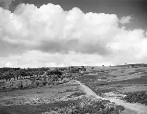 SCOTTISH LANDSCAPE