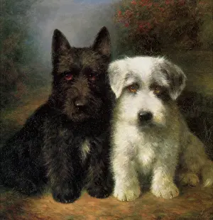 Sealyham: A Scottish and a Sealyham Terrier