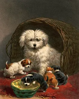 Kitsch: Scottish Terrier and Pups, 1867