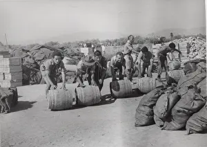 Earthquakes: Scouts distributing water in Zakynthos, Greece