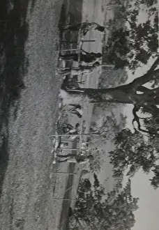 Grenada: Scouts at a training camp, Grenada, West Indies