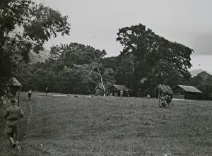 Grenada: Scouts at a training camp, Grenada, West Indies