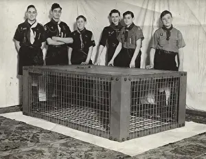 Morrison: Scouts during Wartime