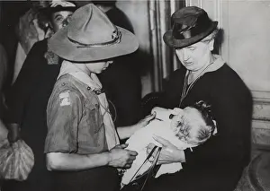 Evacuee: Scouts during Wartime