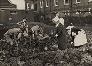 Allotment: Scouts during Wartime