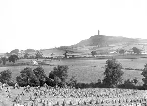 Stooks: Scrabo