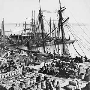 Caithness: Scrabster Harbour Victorian period