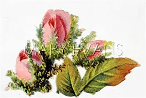 Rosebuds: SCRAP : ROSEBUDS
