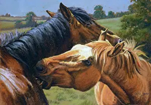 Scratch: You Scratch my Back ?