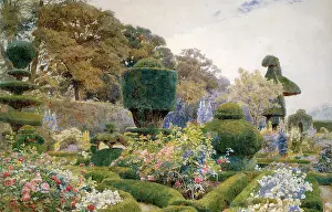 Hedges: Sculpted Bushes