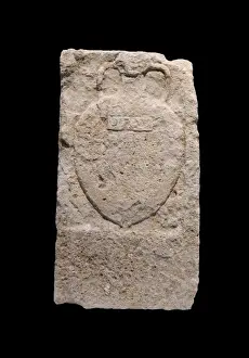 Olive: Sculpture, Lapidarian Gallery, Narbo Via museum, Narbonne