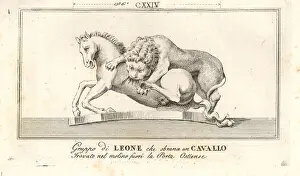 Capitolino: Sculpture of a lion attacking a horse