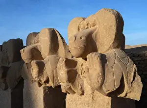 Setepenre: Sculpture, Ramesseum, Theban Necropolis
