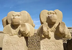 Baboon: Sculpture, Ramesseum, Theban Necropolis